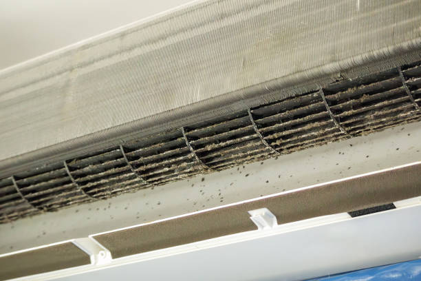Best Professional Duct Cleaning Services  in Oshkosh, WI